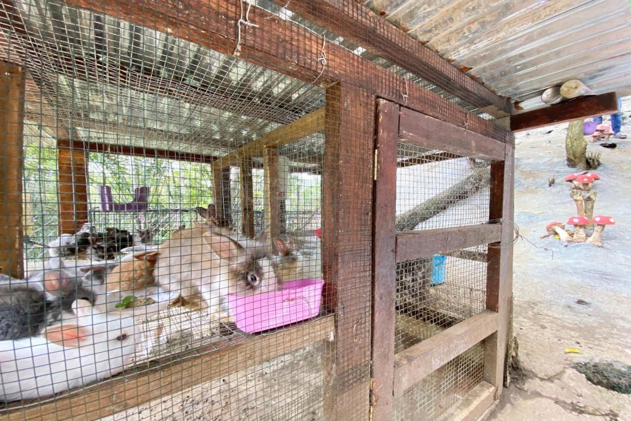 Hotel Spot On 90279 Kinomulok Garden Ranau Zewnętrze zdjęcie