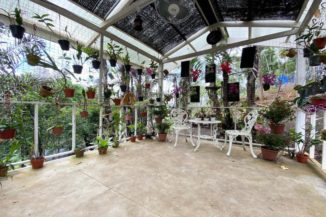 Hotel Spot On 90279 Kinomulok Garden Ranau Zewnętrze zdjęcie
