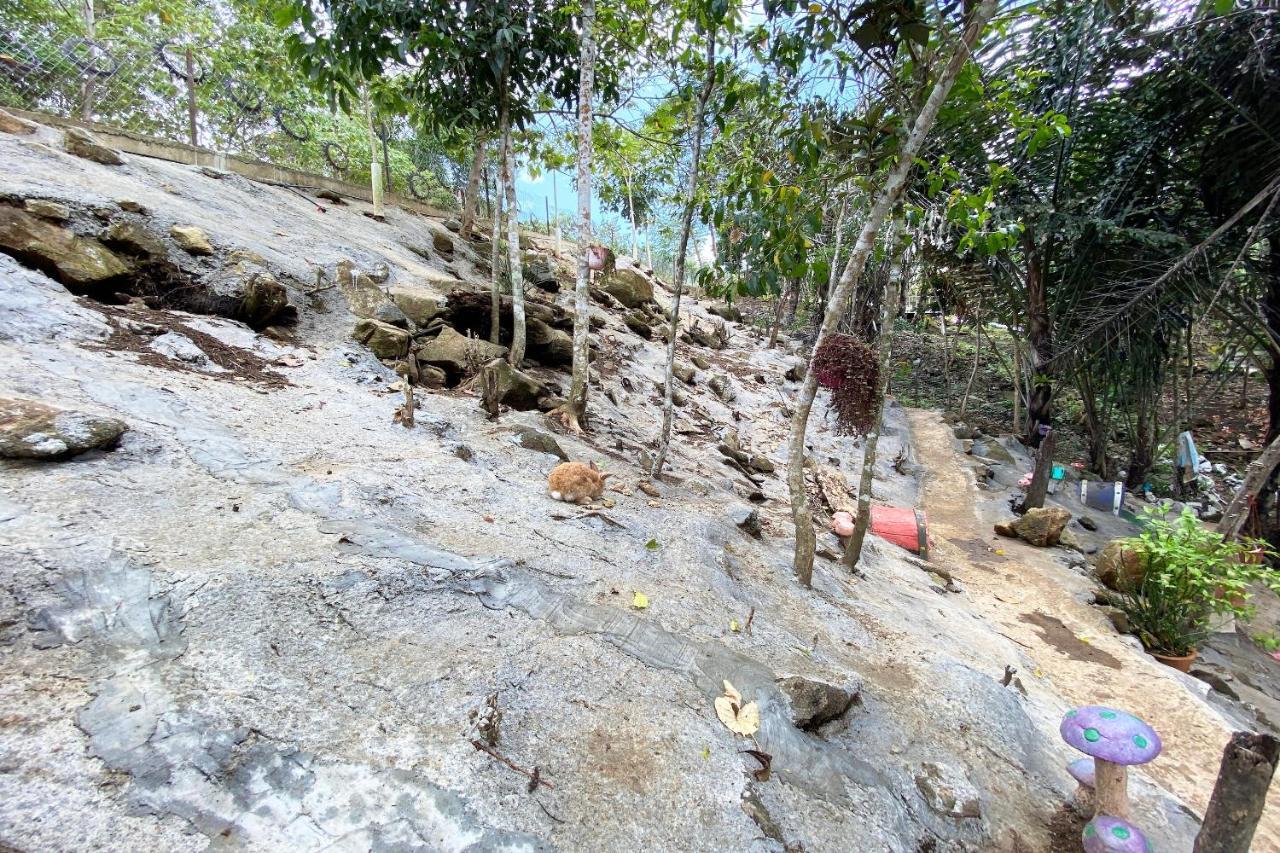 Hotel Spot On 90279 Kinomulok Garden Ranau Zewnętrze zdjęcie