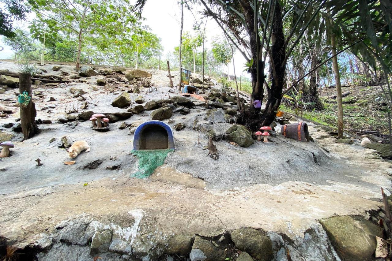 Hotel Spot On 90279 Kinomulok Garden Ranau Zewnętrze zdjęcie